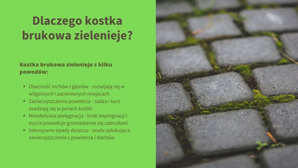 Dlaczego kostka brukowa zielenieje